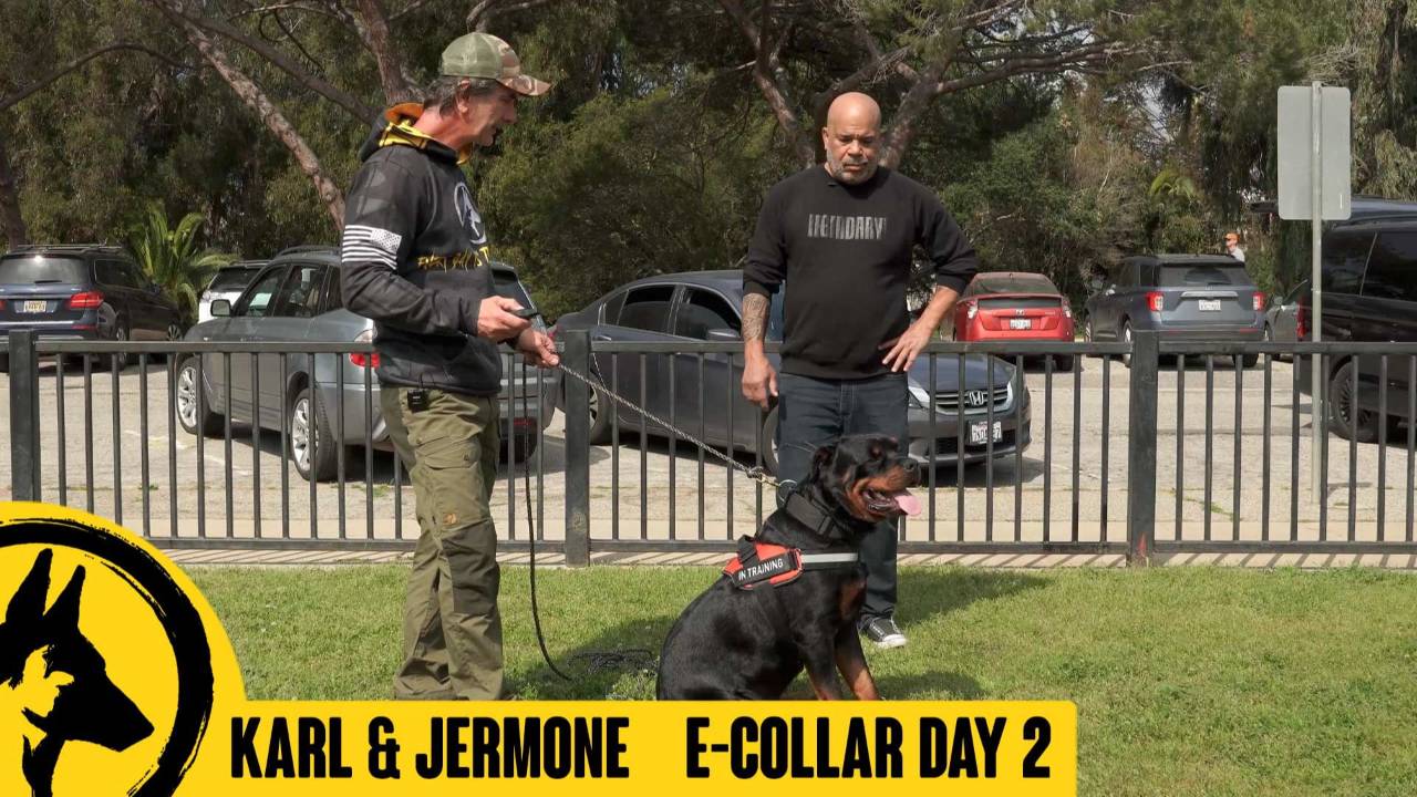 Karl &amp; Jerome – Ecollar Day 2