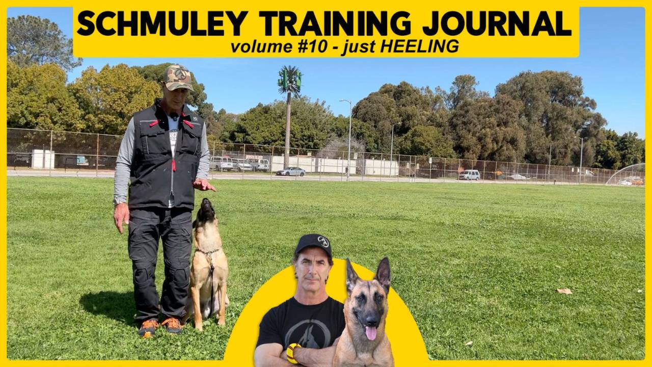 Schmoo Journal 10 – Just Heeling