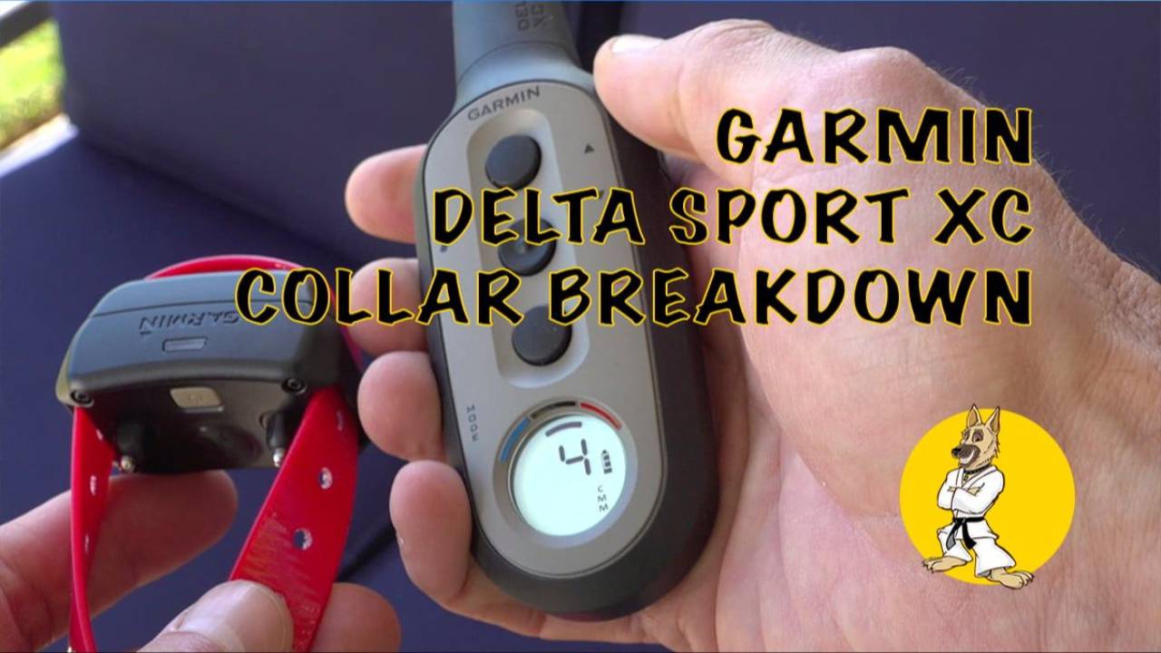 E-Collar – Garmin Delta Sport Pro Breakdown