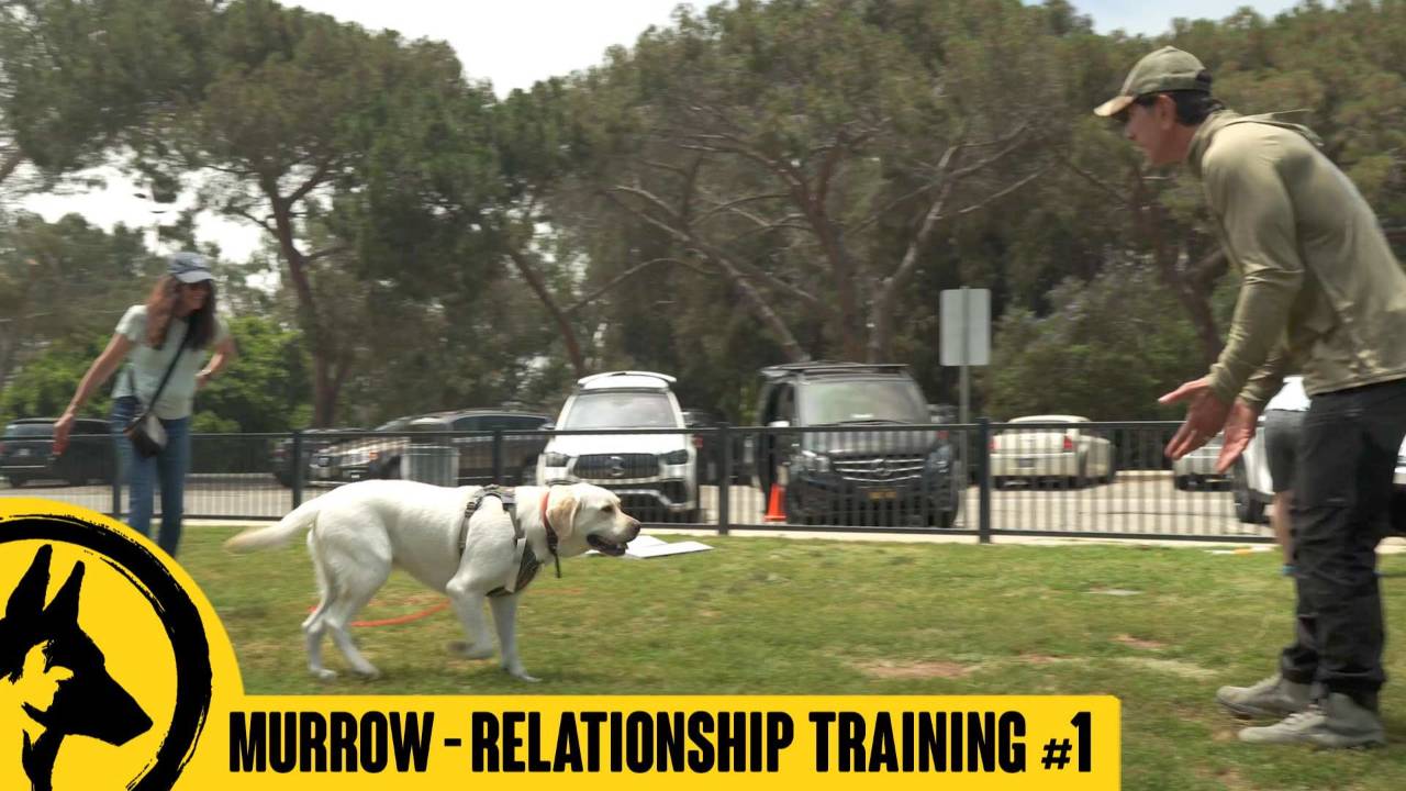 Building a Relationship in Training β Murrow Day 1