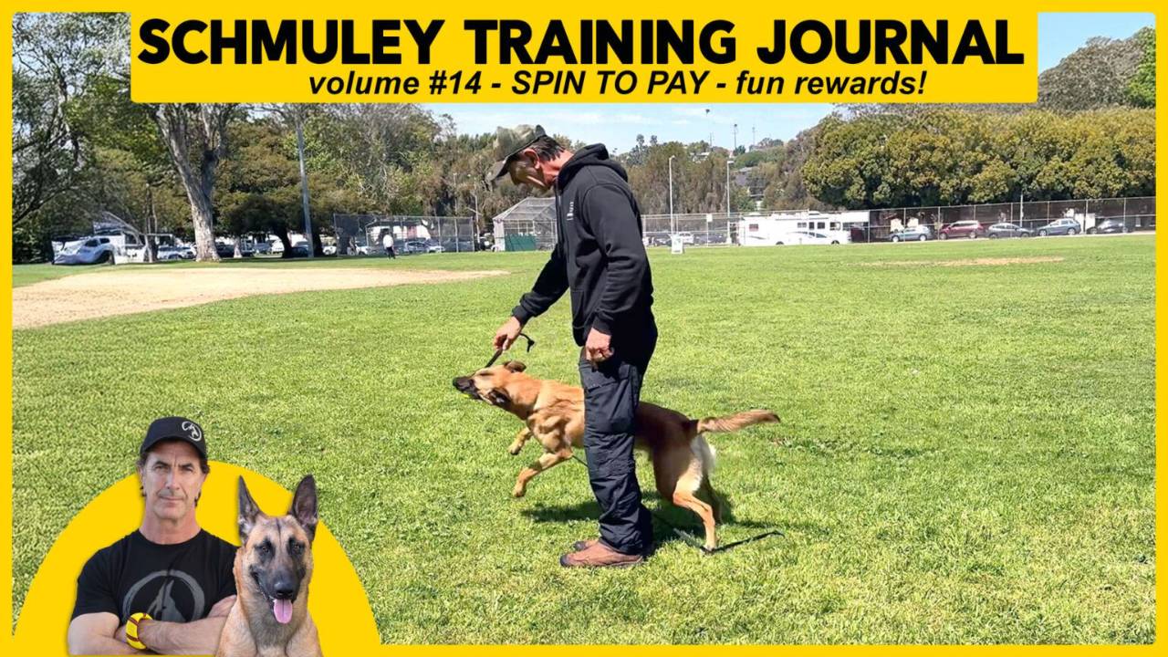 Schmuley Journal 14 – Spin to Pay