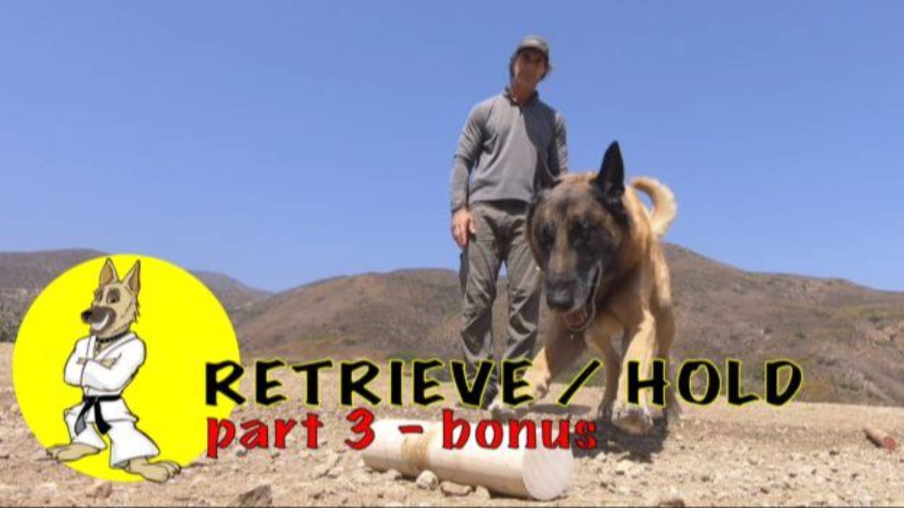 The Hold / Retrieve