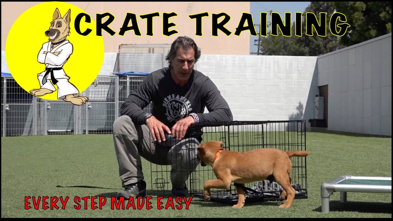 Crate Training – Puppy