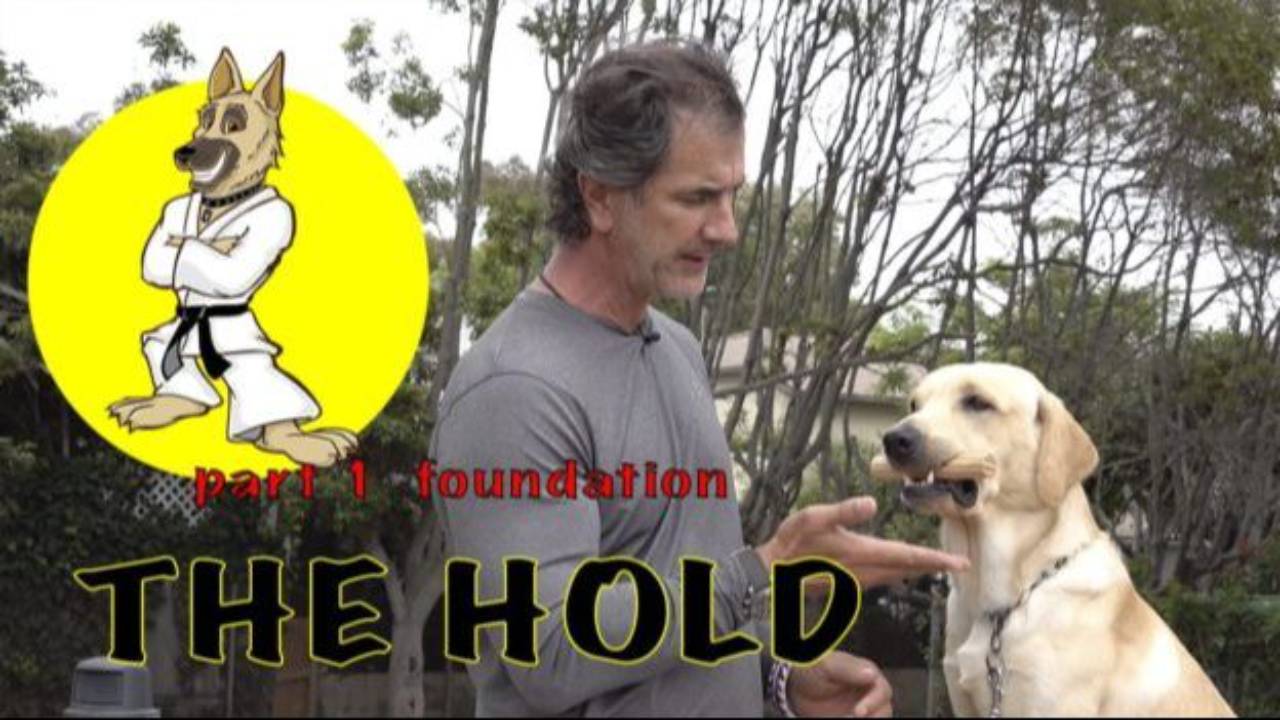 The HOLD – Part 1