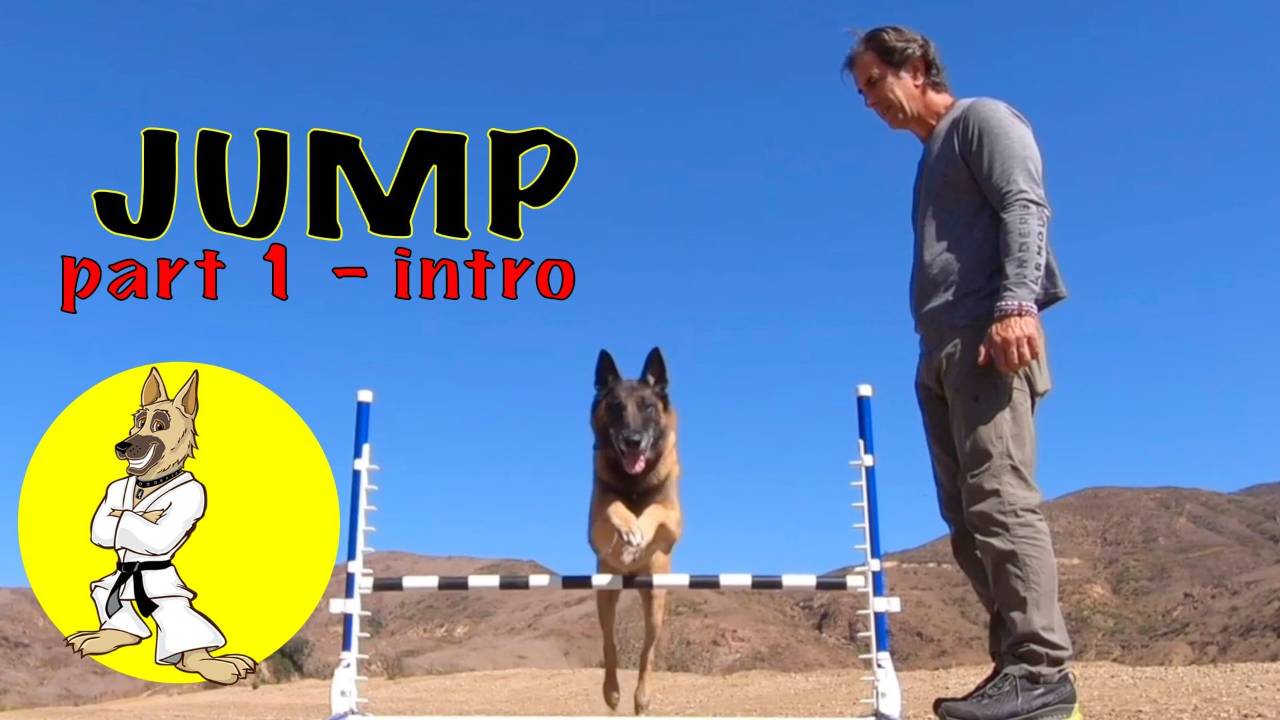 JUMP Intro – Part 1