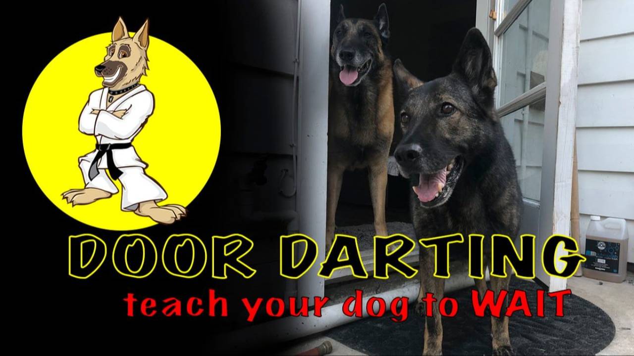 Door Darting