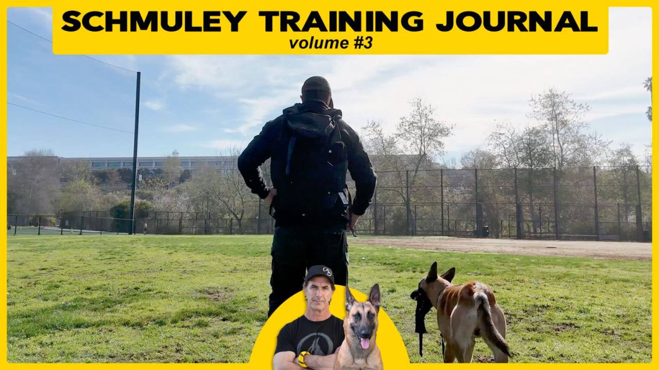 Schmoo Training Journal volume 3