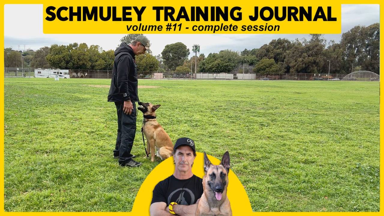 Schmuley Journal 11 – A Full Session