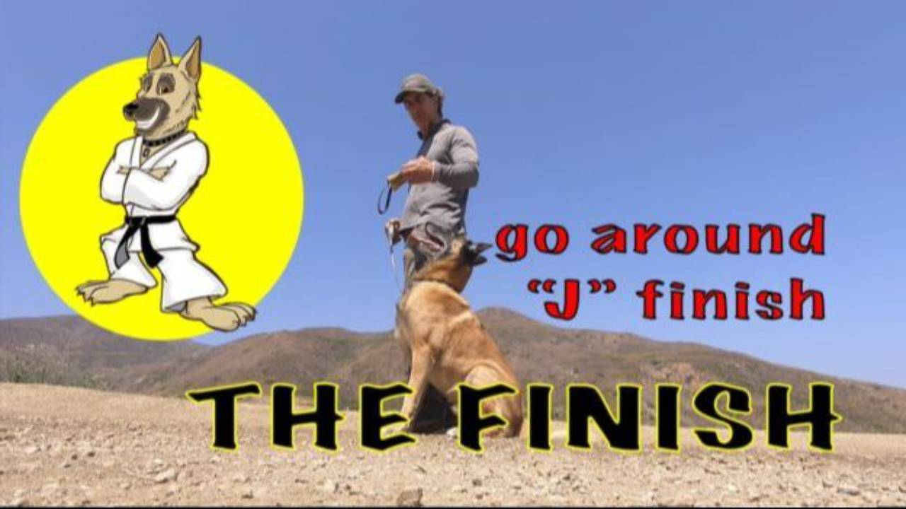 The FINISH