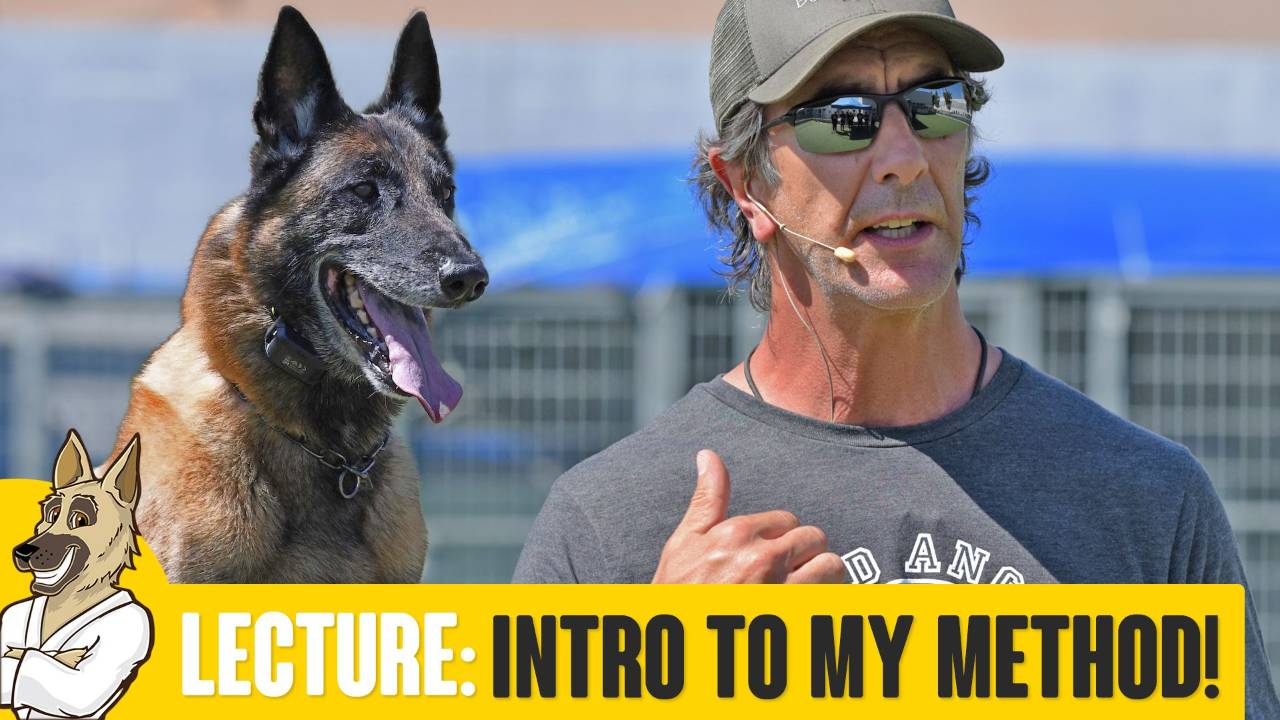 Introduction to My Way of Training Dogs