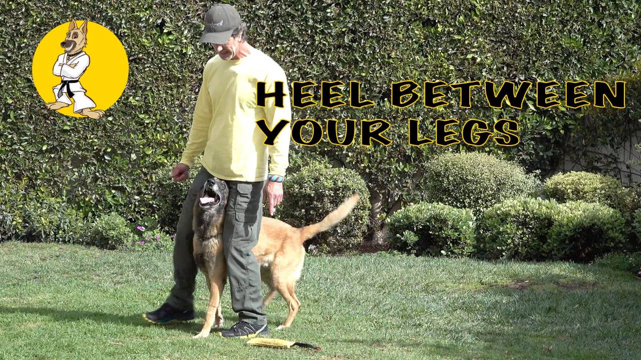 Heel Between Legs