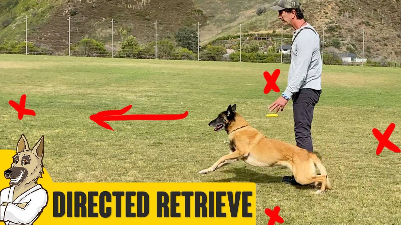 Directed Retrieve