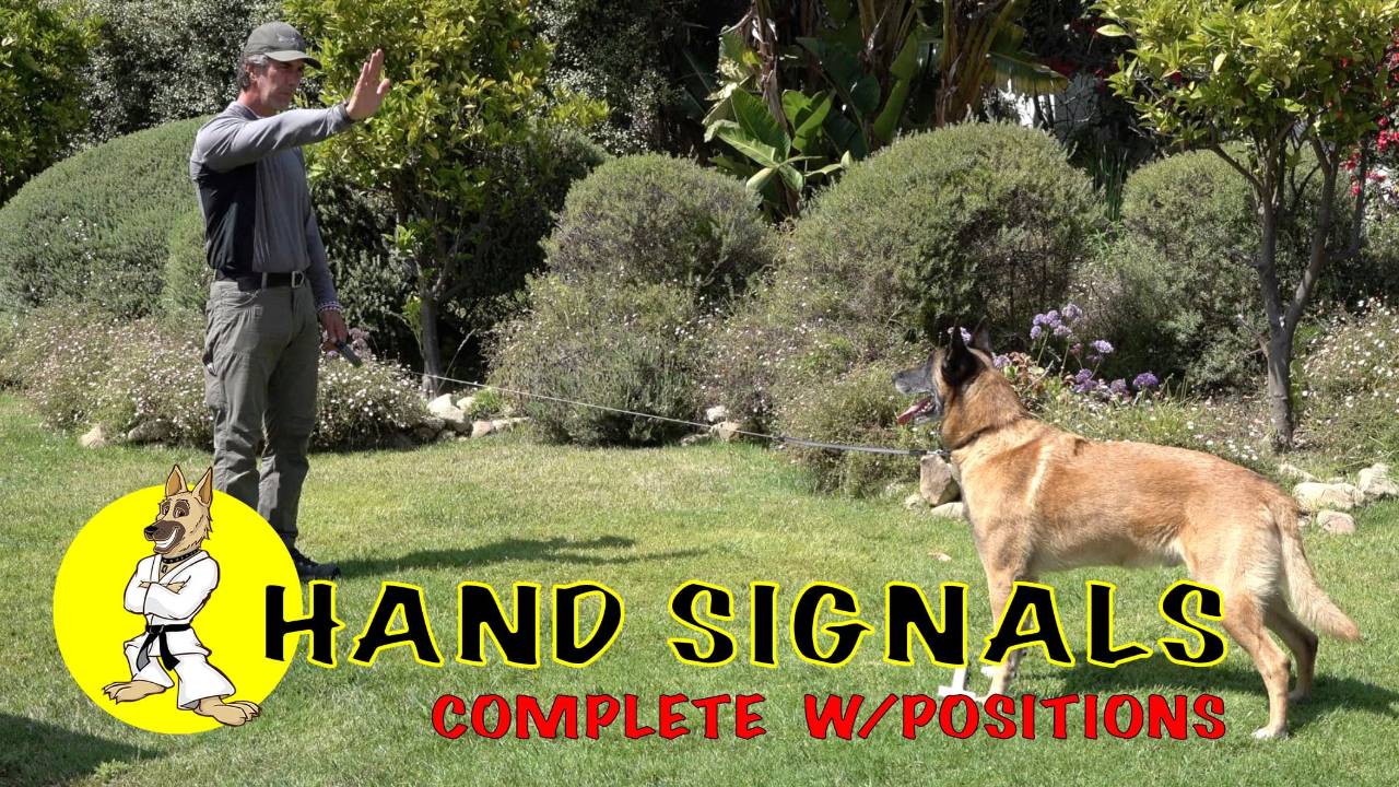 Hand Signals & Positions