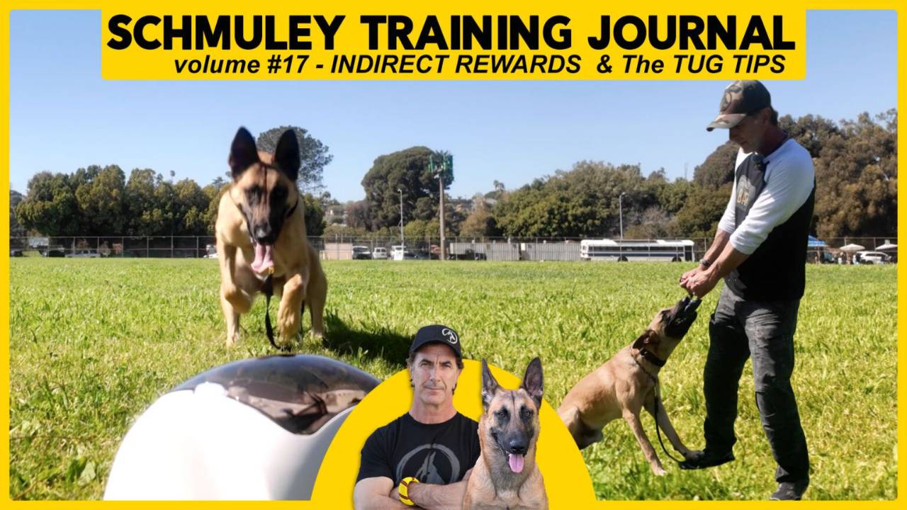 Schmuley Journal 17 – Indirect Rewards and Tug Game Tips
