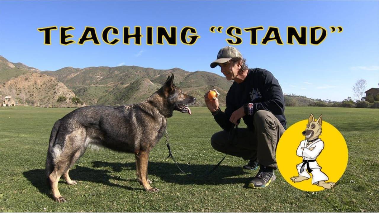 STAND – Complete Lesson
