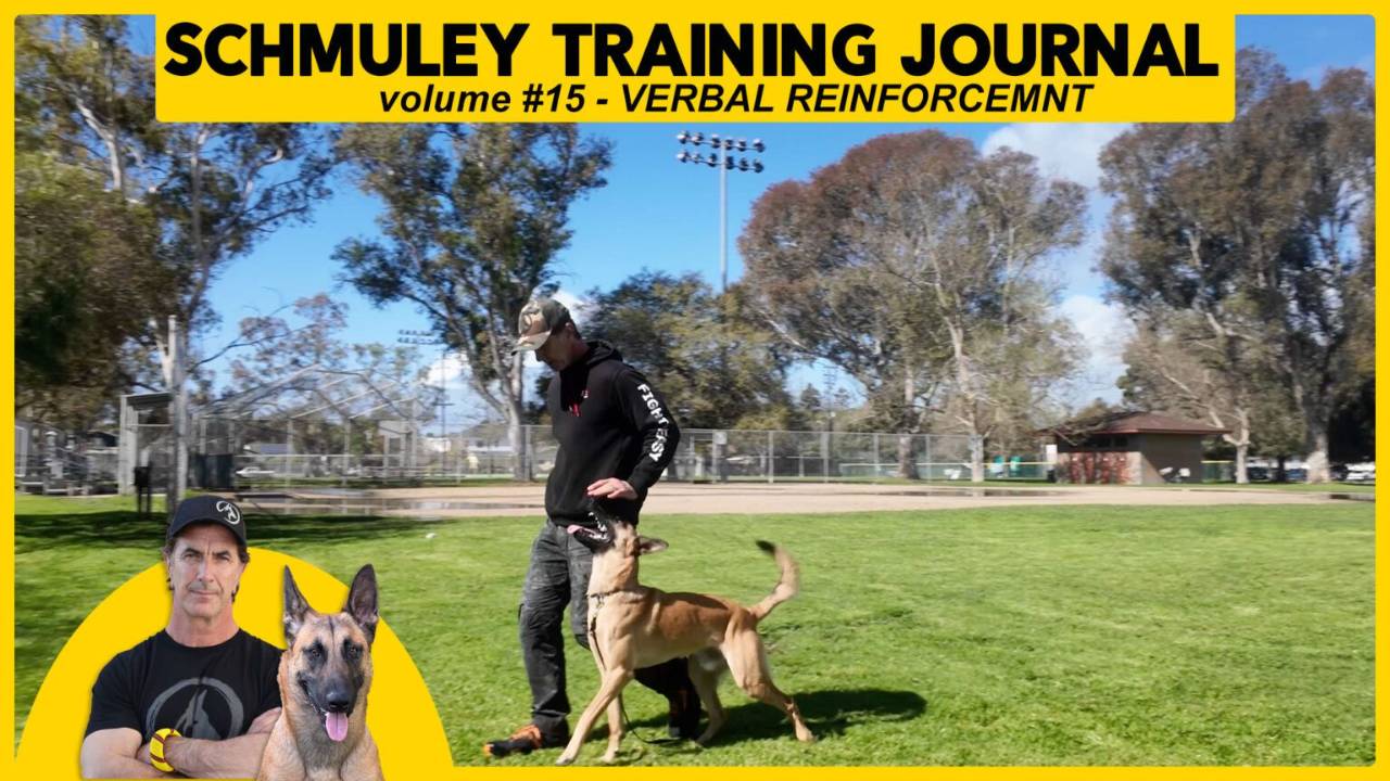 Schmuley Journal 15 – Verbal Reinforcement vs Interrupters