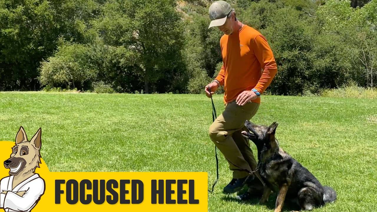 Focused Heel with Maya