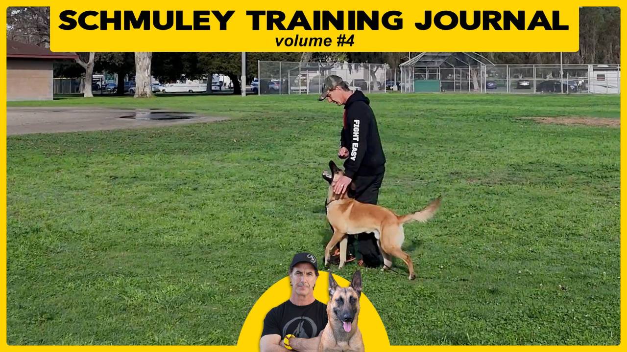 Schmoo Training Journal volume 4