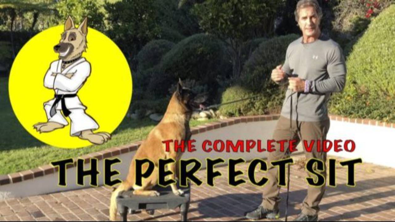 The Perfect SIT