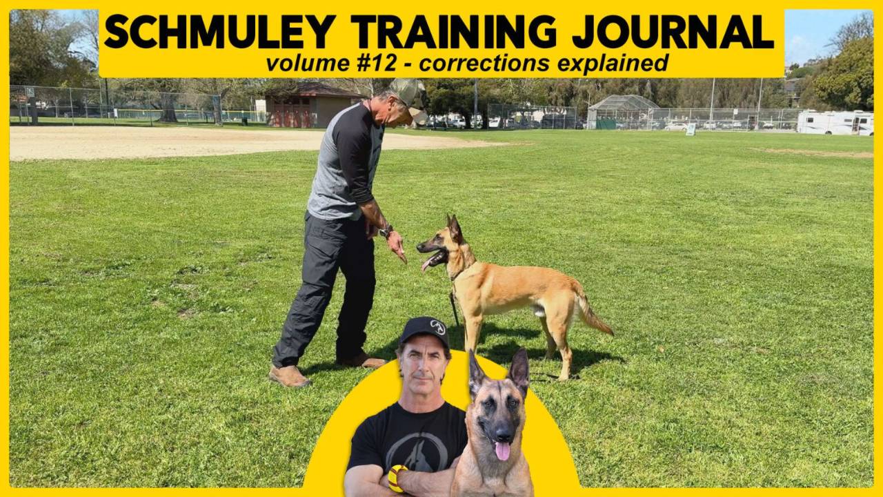 Schmuley Journal 12 –Corrections Explained