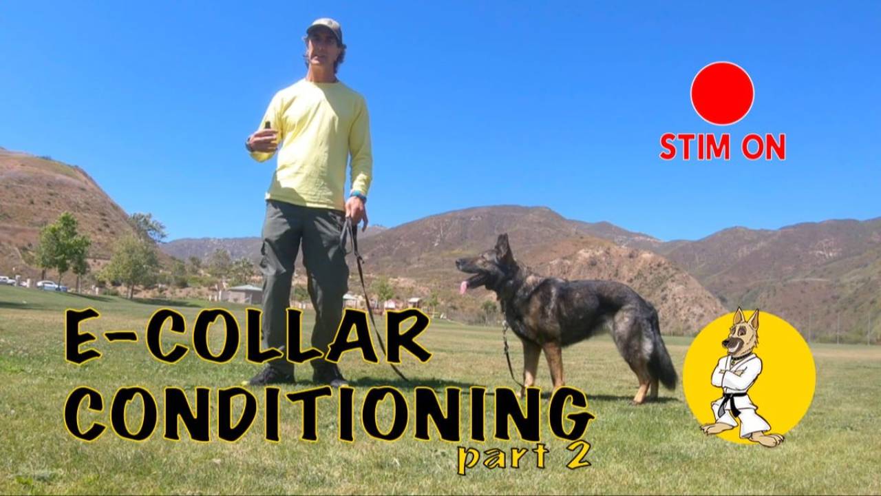 E-Collar – Getting Started Part 2