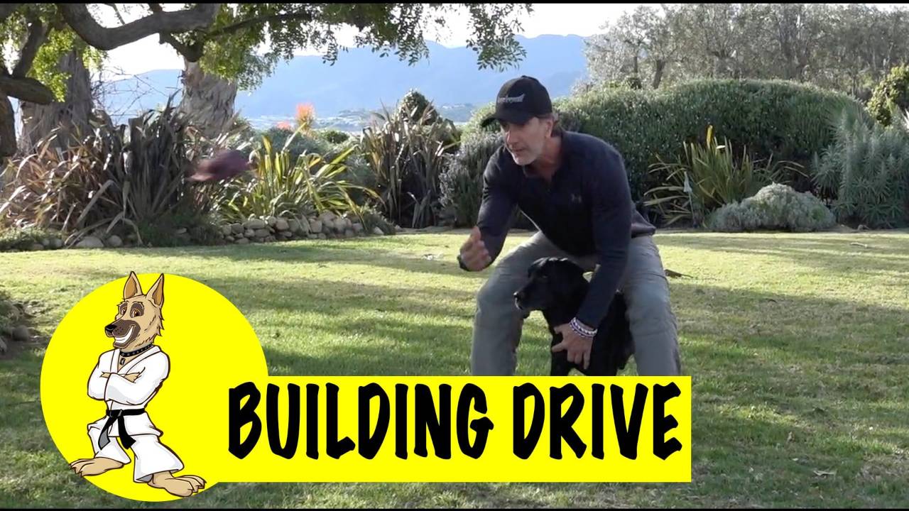 How to Build Drive