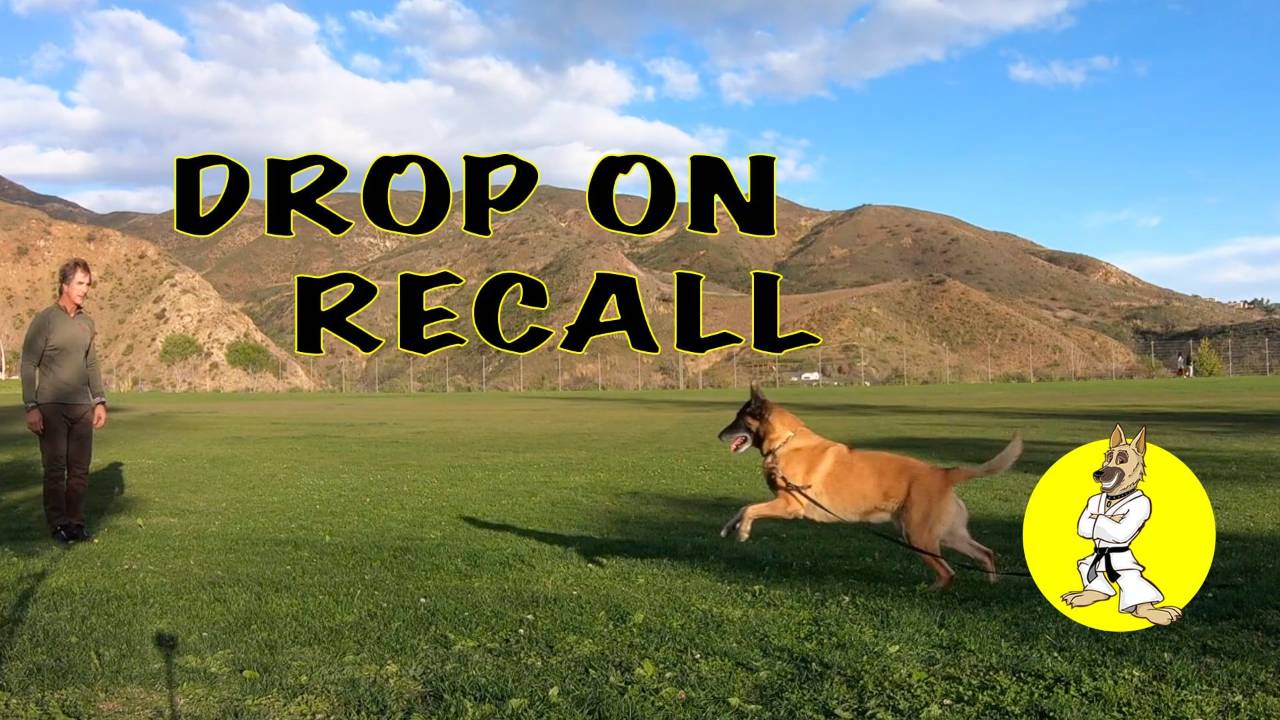 DOWN on RECALL