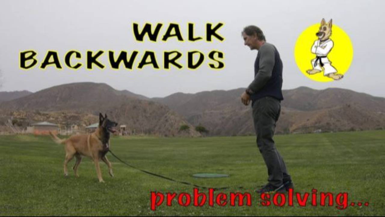 WALK Backwards