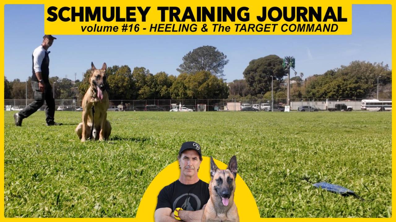 Schmuley Journal 16 – Target Command - Better Heeling
