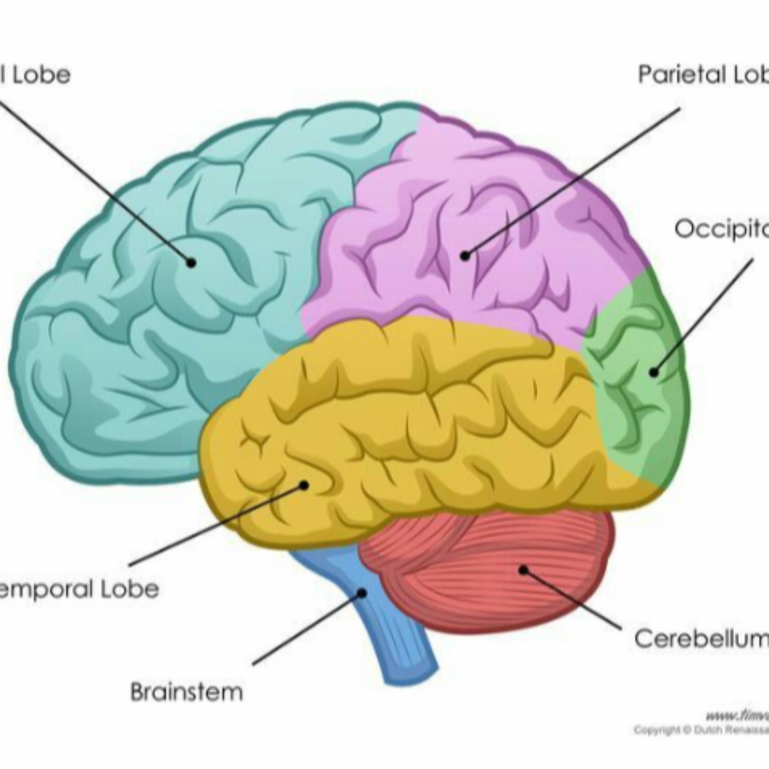 Chitty Chats with Stacy