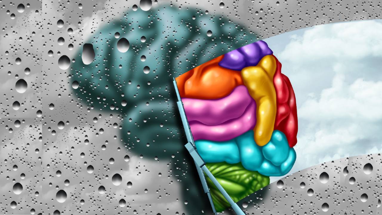 Detoxification Of The Mind