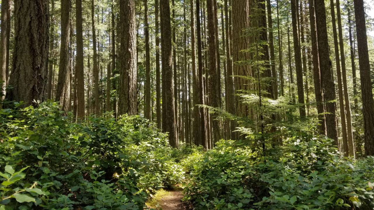 Enhancing Grounding