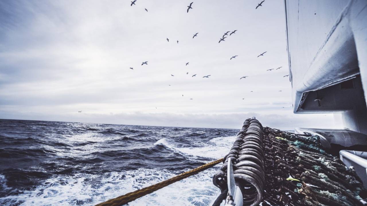 Coasting The Waters of Uncertainty