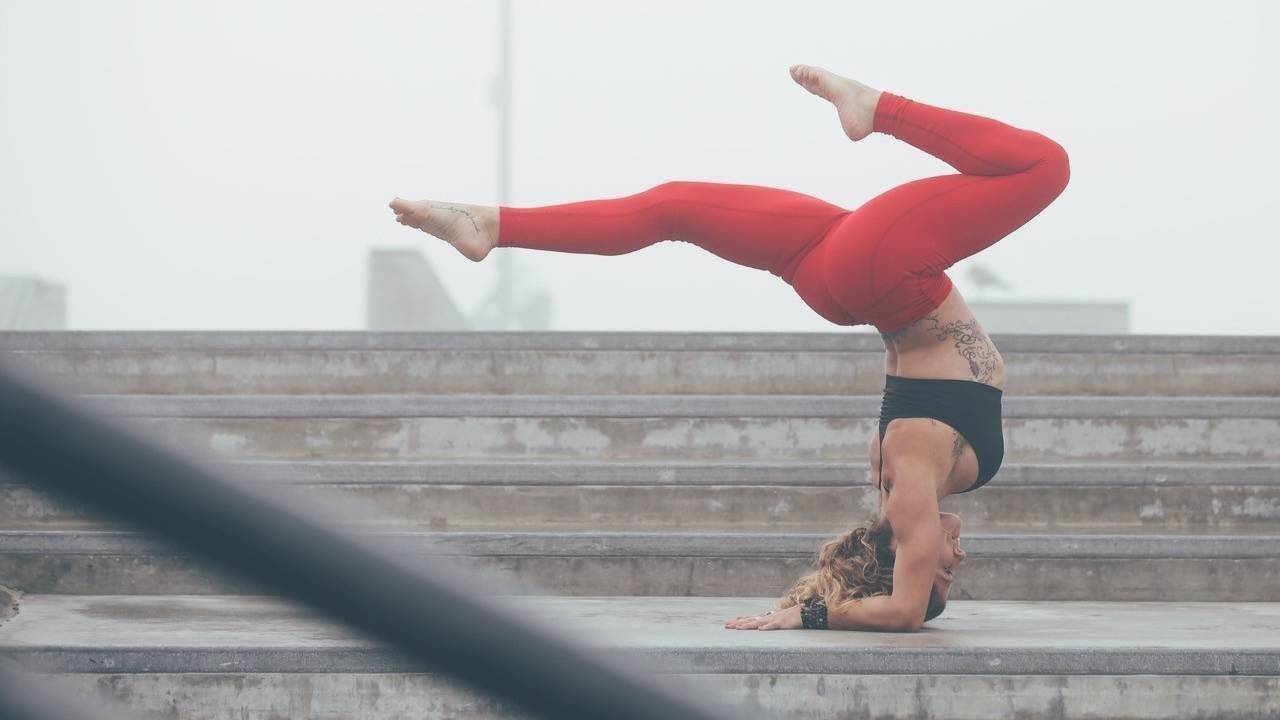 yogiflightschool.com logo