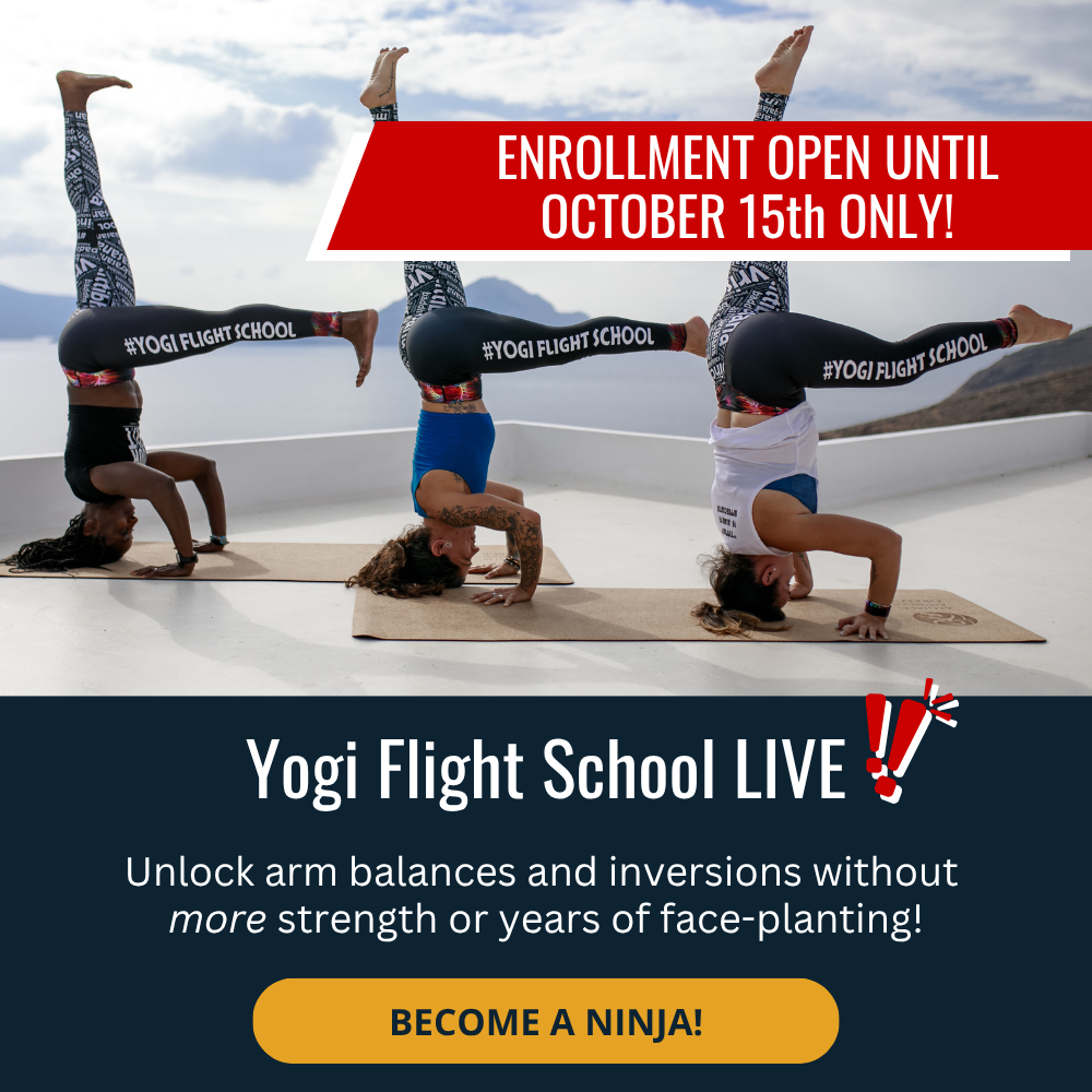 Yogi Flight School Live