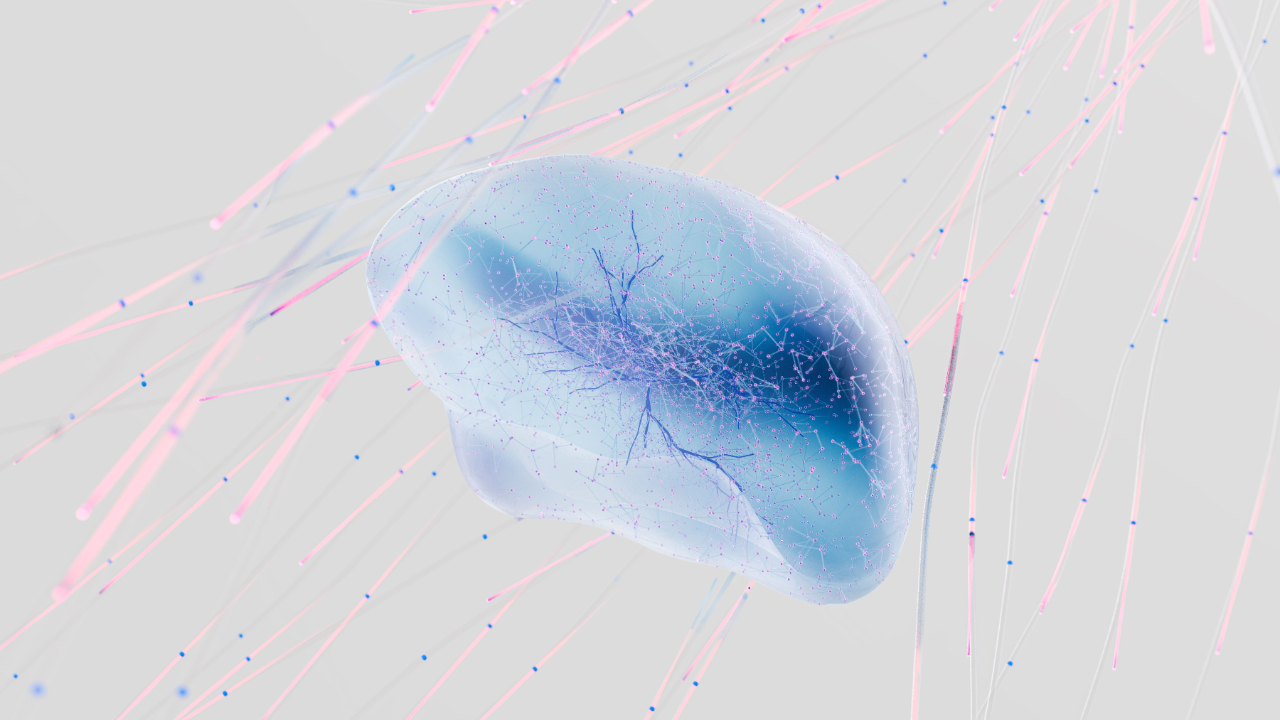 Translucent blue brain illustration with pink neural network connections on a light gray background.