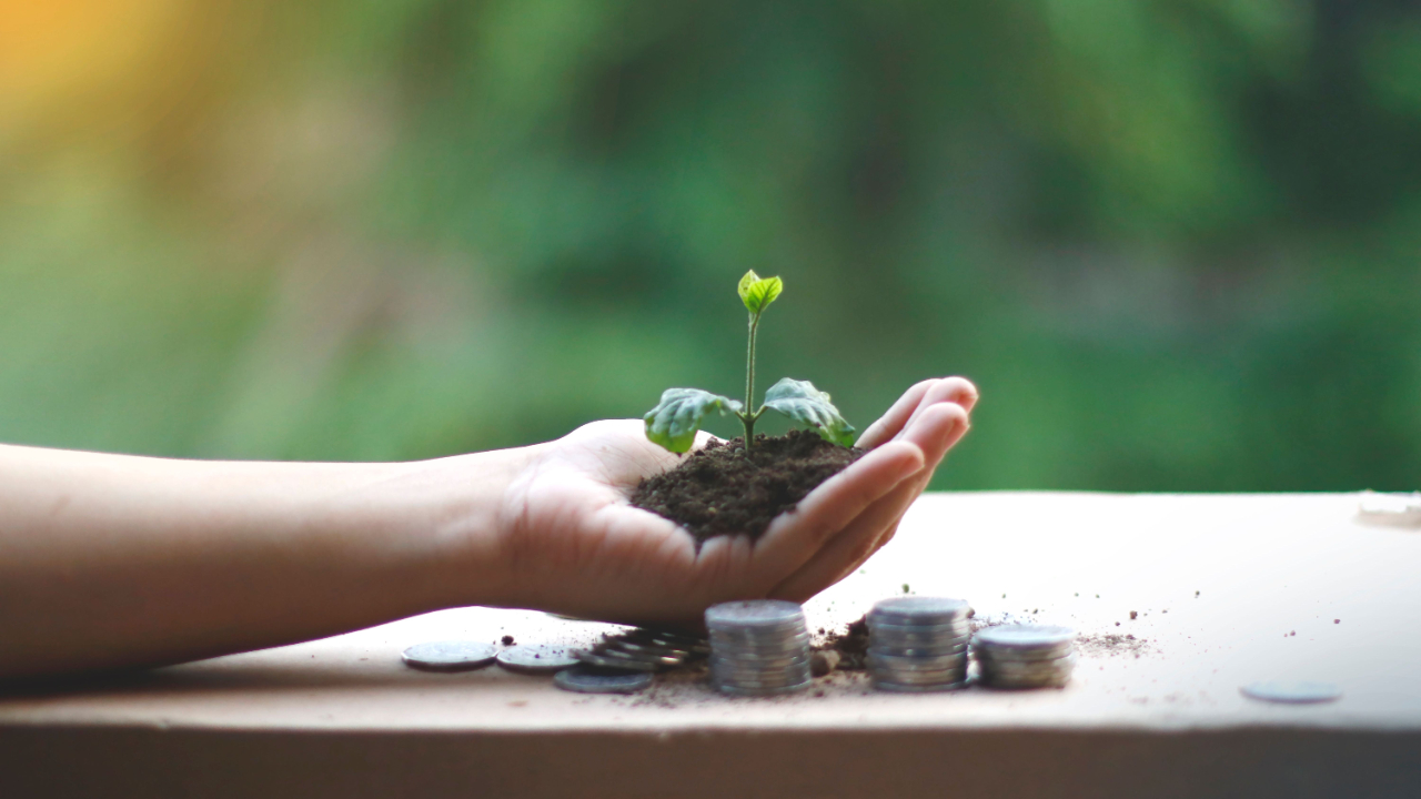 Hand holding soil with a small seedling growing above stacked coins on a wooden surface.