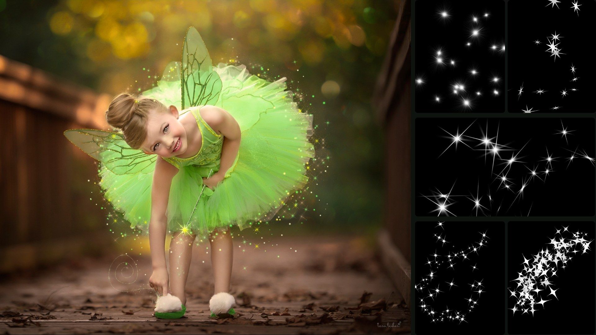 Fairy with sparkles surrounding her to showcase the sparkle brushes