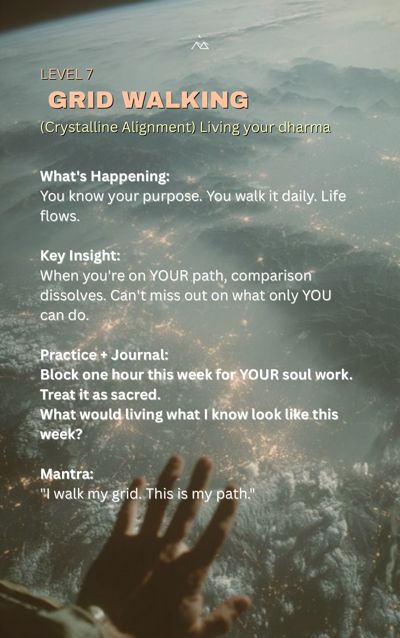 NOMO FOMO page 33: level 7 · grid walking
