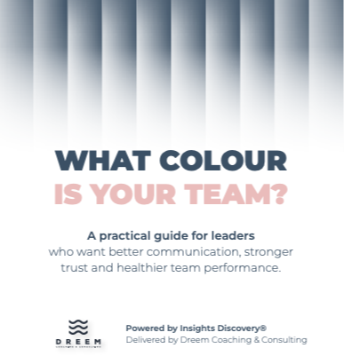 What Colour Is Your Team? A practical guide for leaders by Dreem Coaching & Consulting