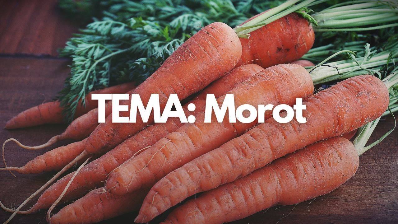 Tema: Morot