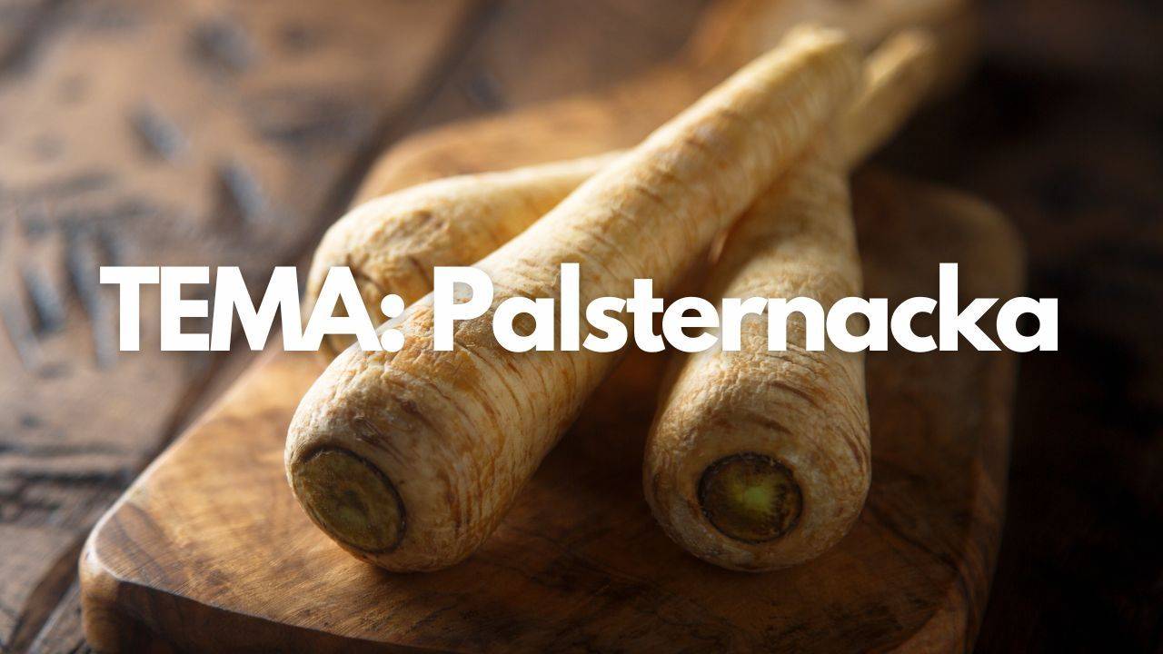 Tema: Palsternacka