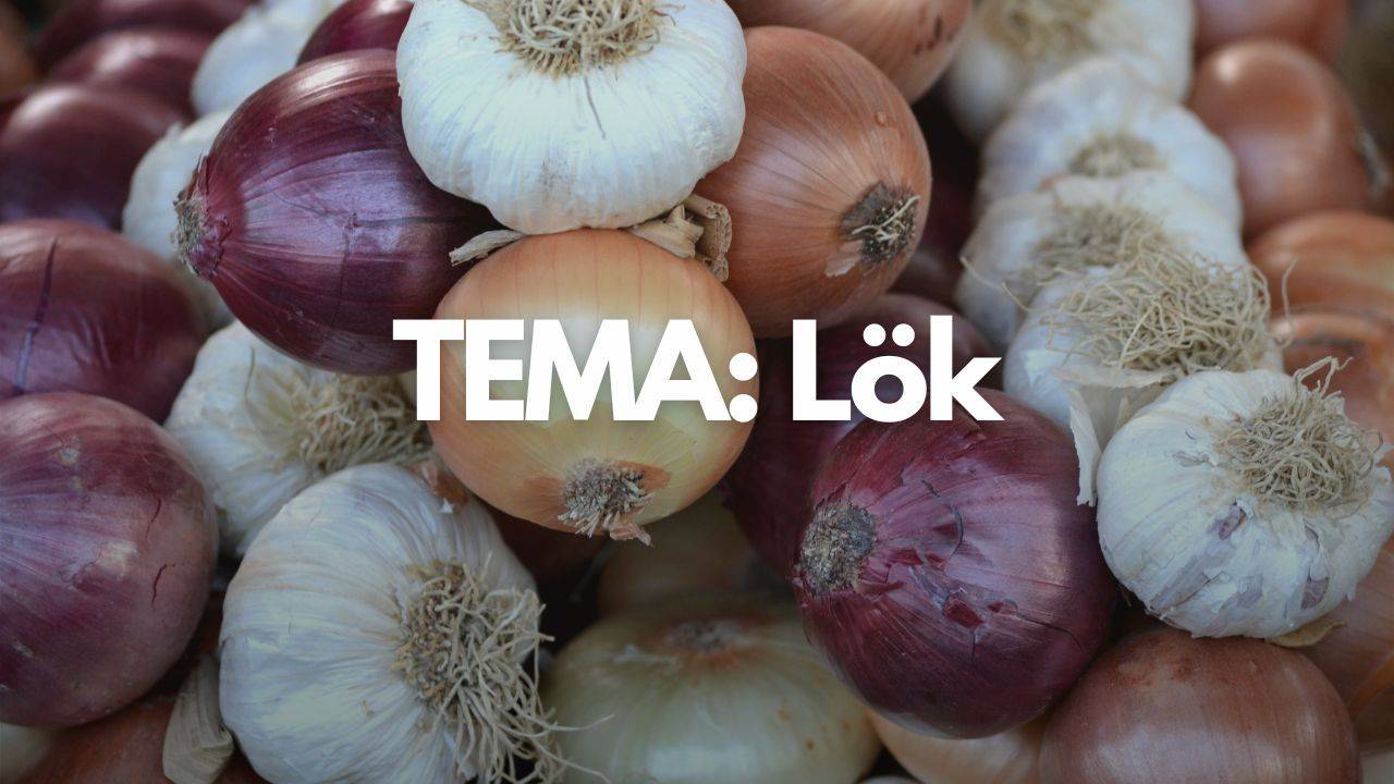 Tema: Lök