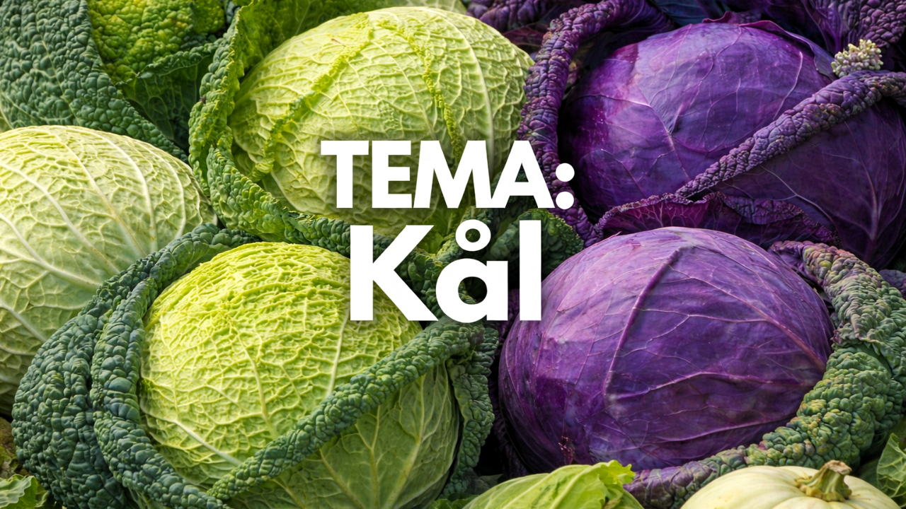 Tema: Kål