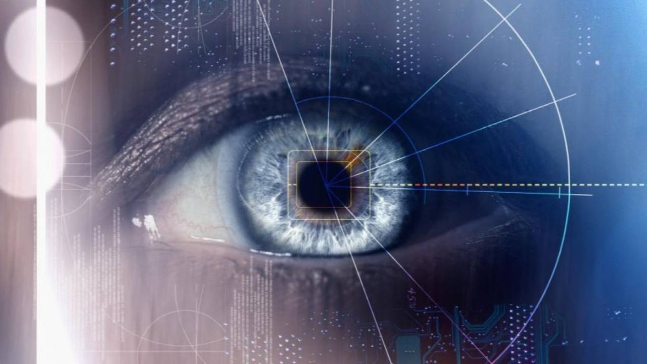 Computer Vision vs. Human Vision Unveiling the Battle of Perception