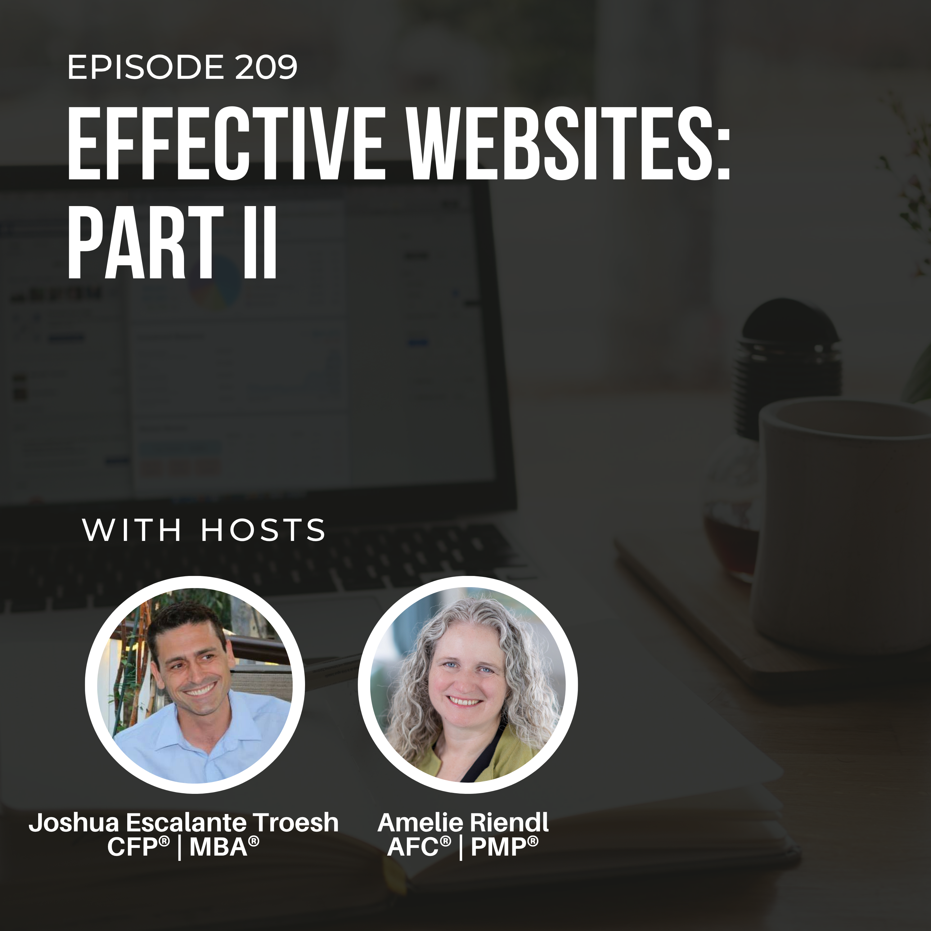 #209: Effective Websites Part II episode artwork