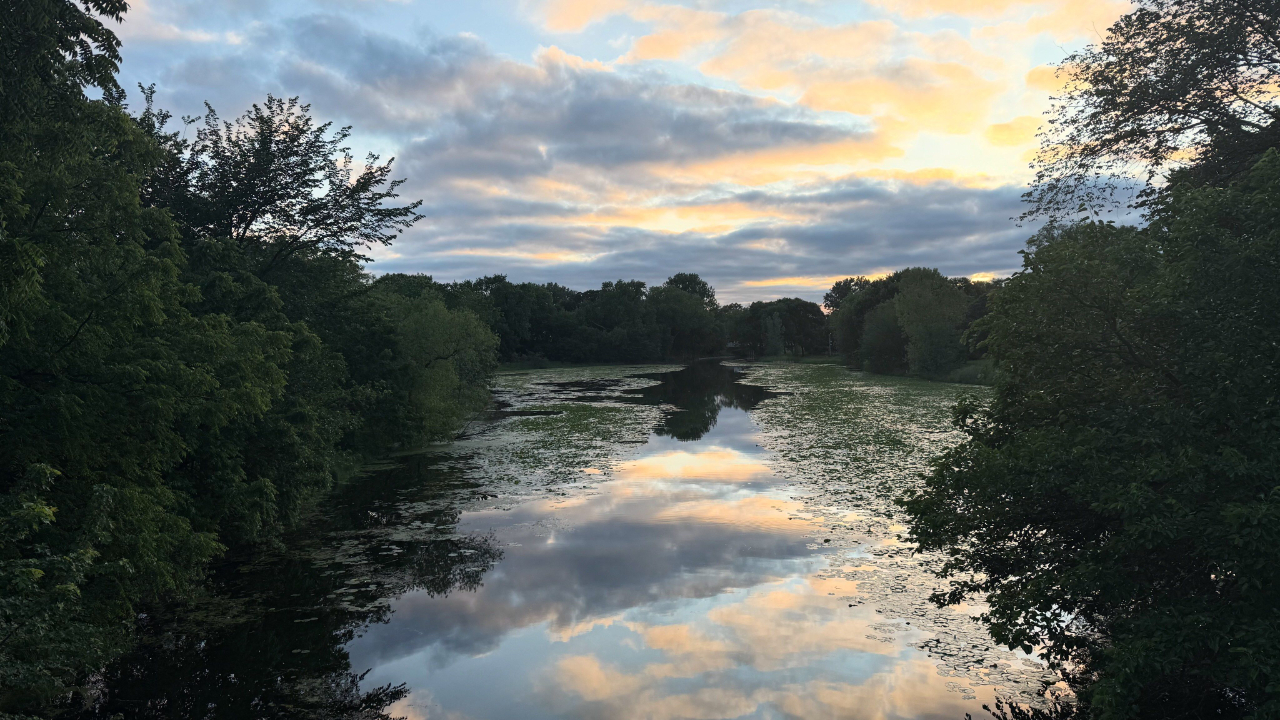 Still water reflecting the soft evening sky at the height of Summer