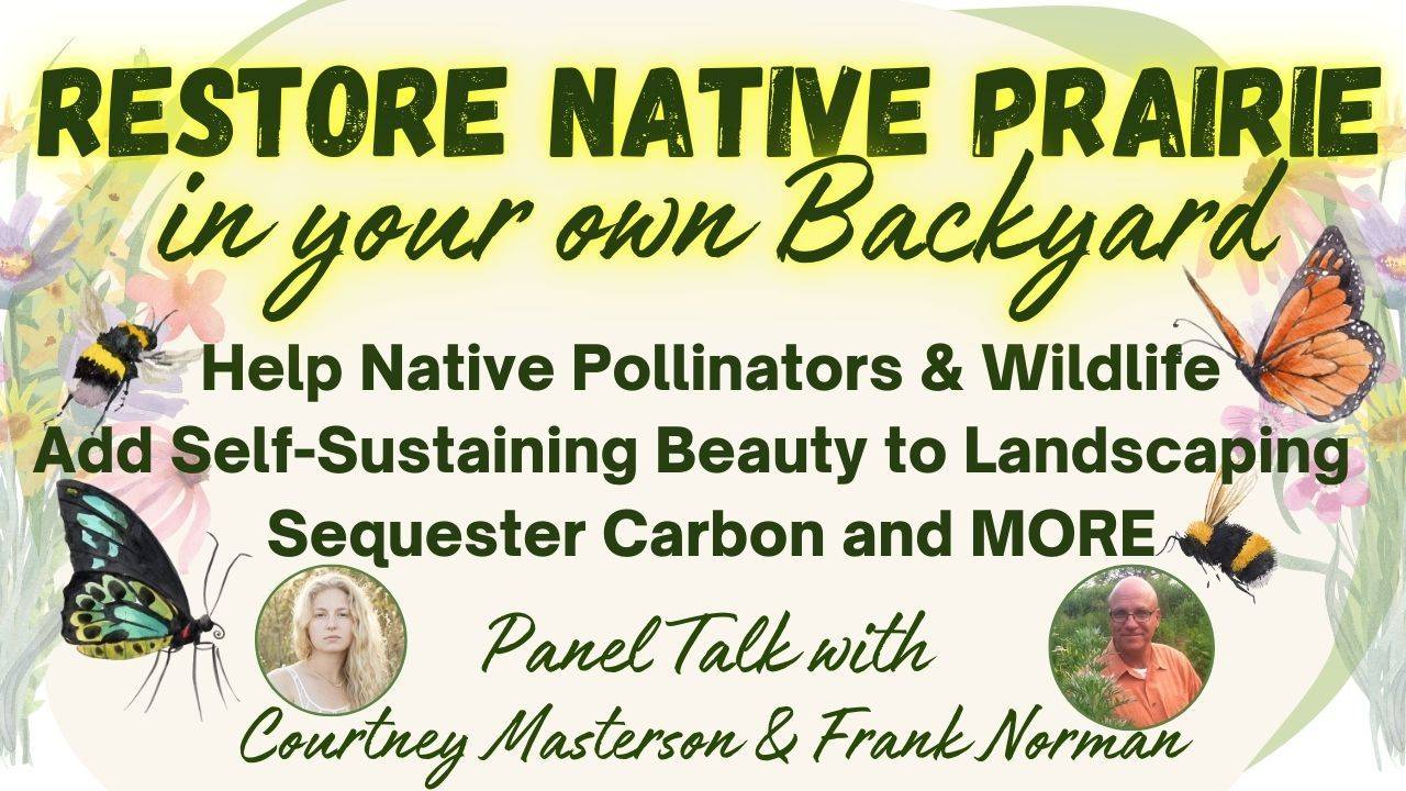 Restore Native Prairie In Your Own Backyard