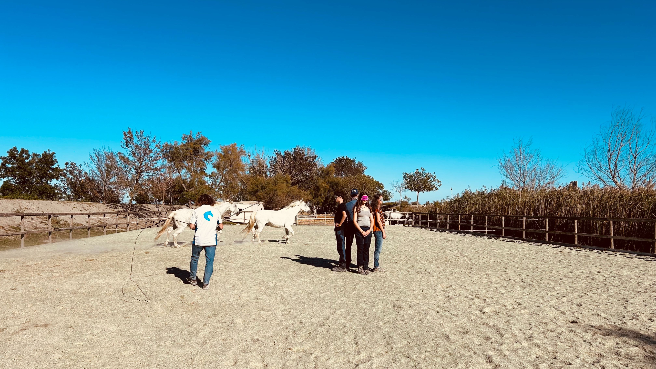 team building eiqus