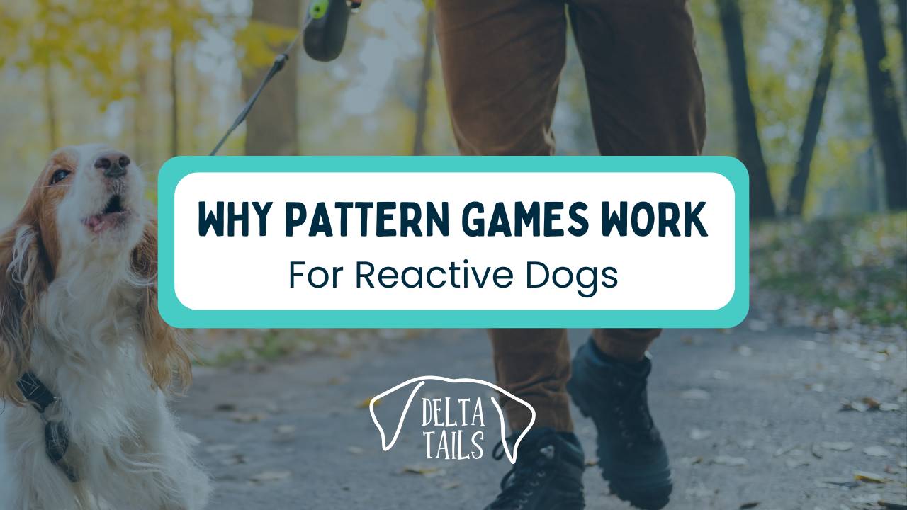 Reactive Dogs Why Pattern Games are So Effective